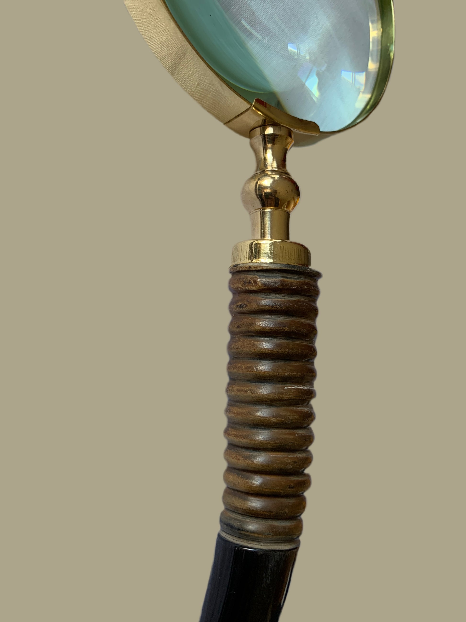 Giraffe Neck Magnifier