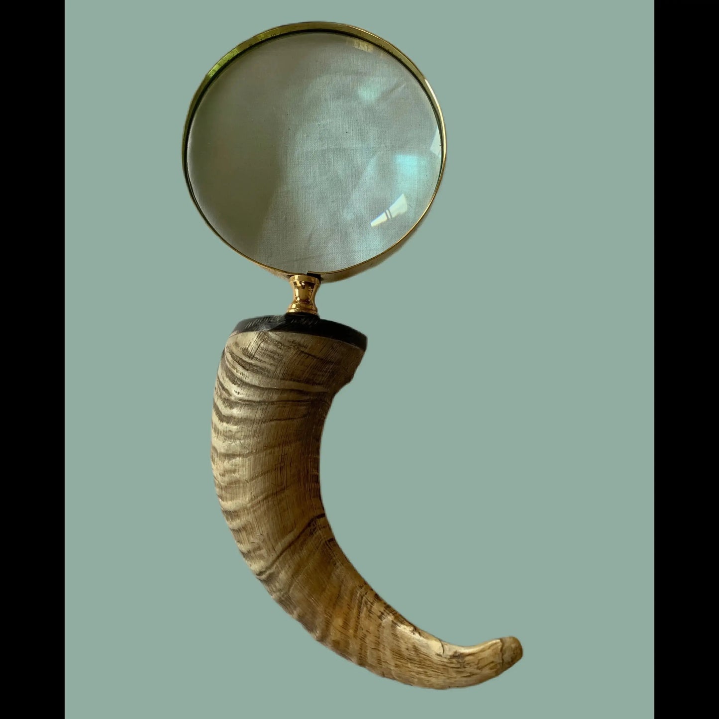 Goat handle magnifier