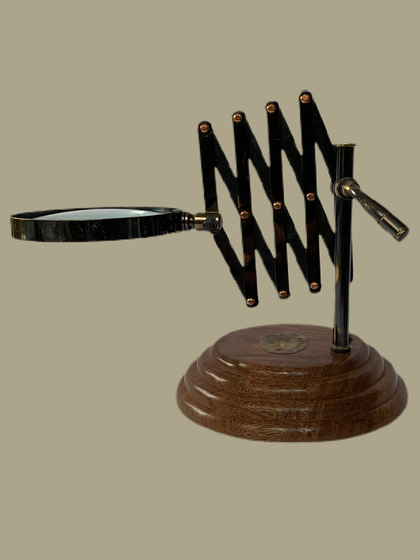 Magnifier with extendable arm