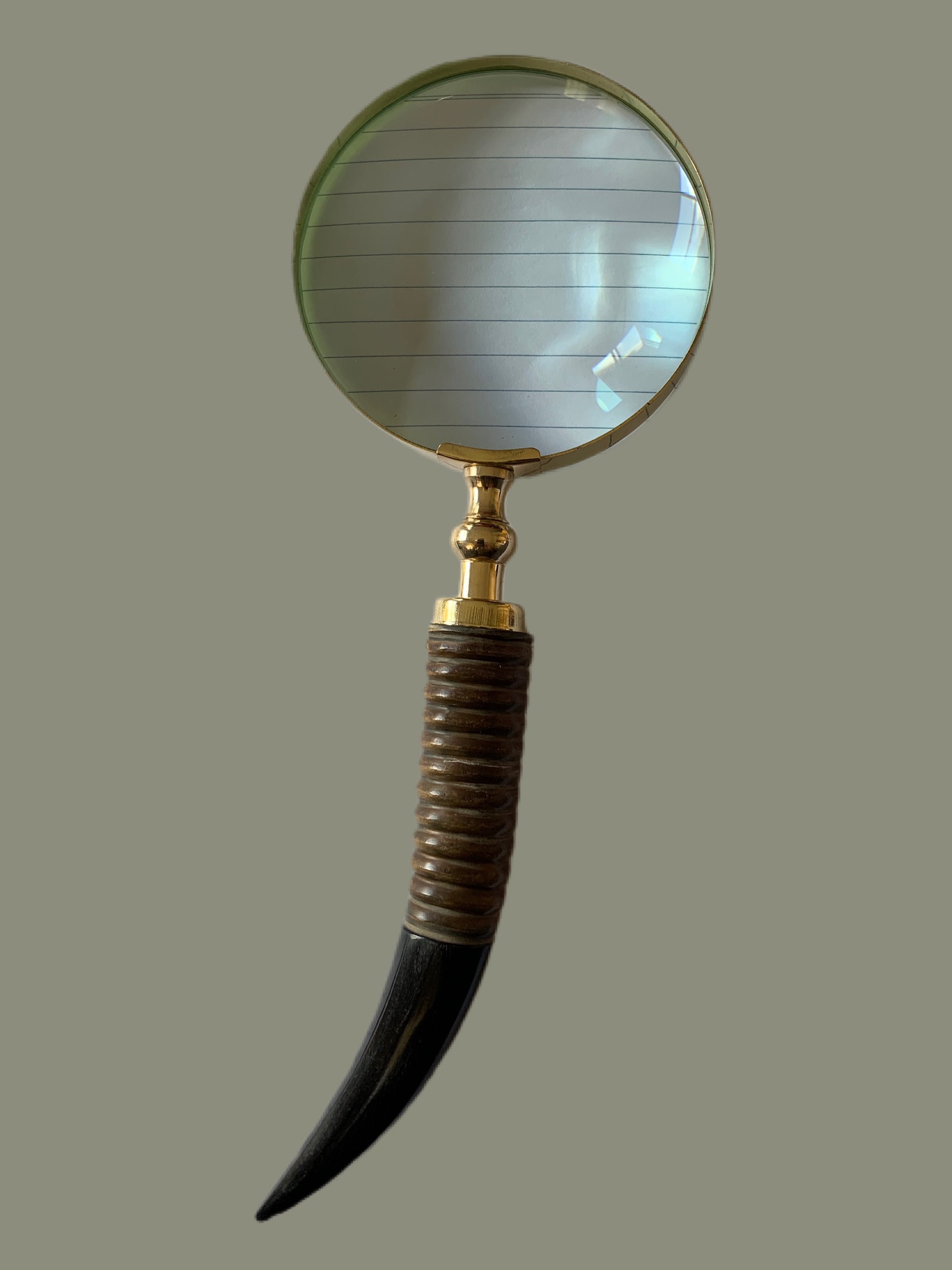 Giraffe Neck Magnifier