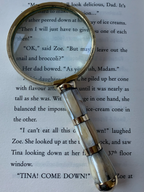 Marble magnifier