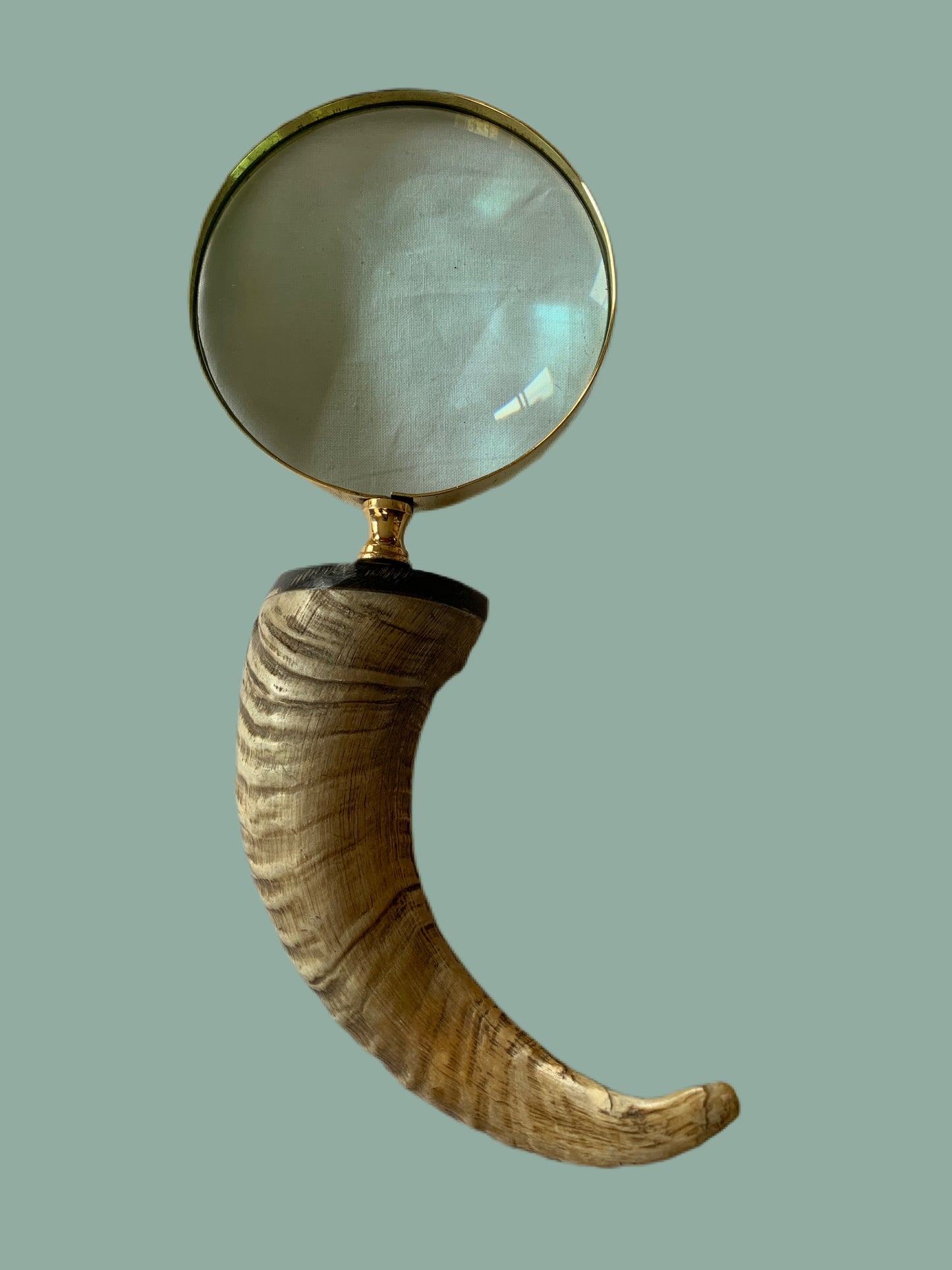 Goat handle magnifier