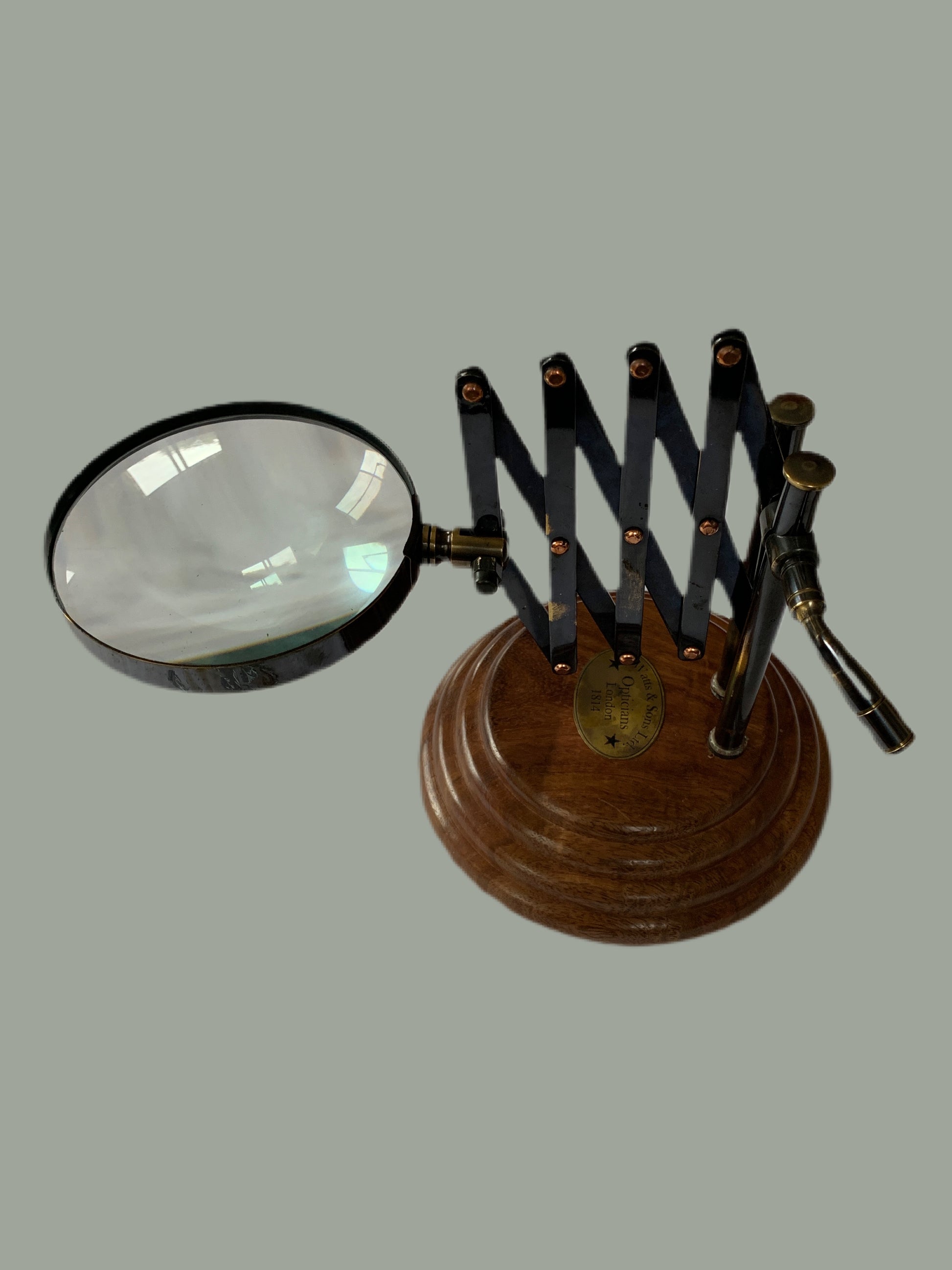 Magnifier with extendable arm