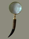 Giraffe Neck Magnifier