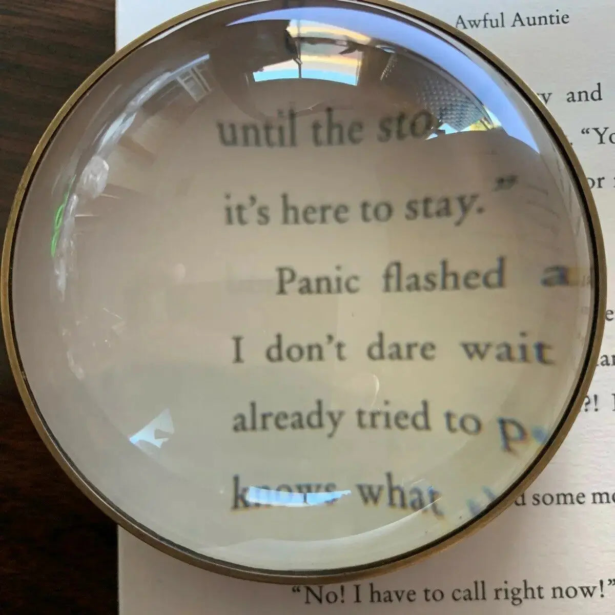 Dome Magnifier Glass